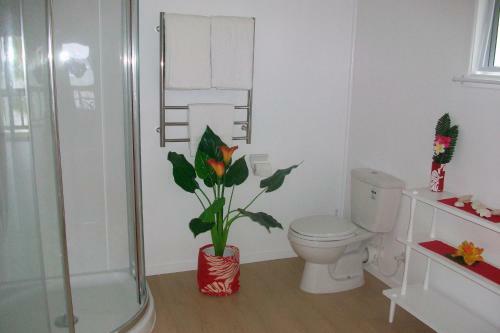 Vaiakura Holiday Homes