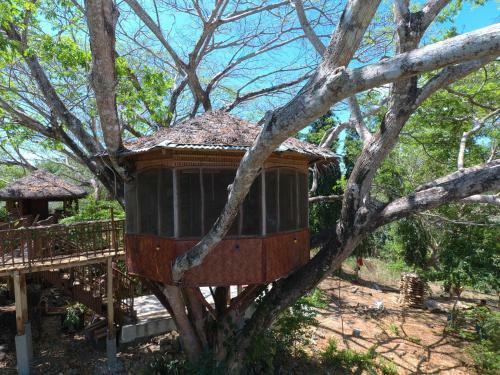 Hotel Al Hamra Jungle Resort