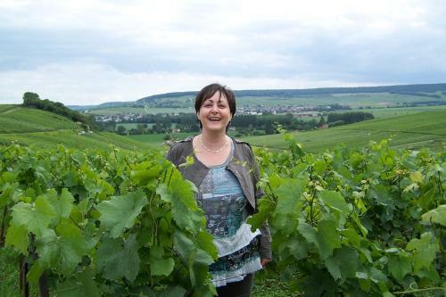 Bed & Breakfast Les Suites Champenoises