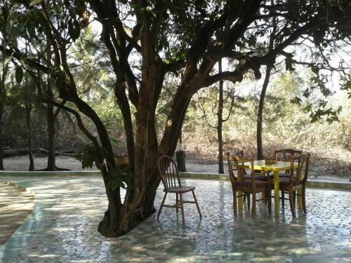 Hotel Jungle Beach Resort