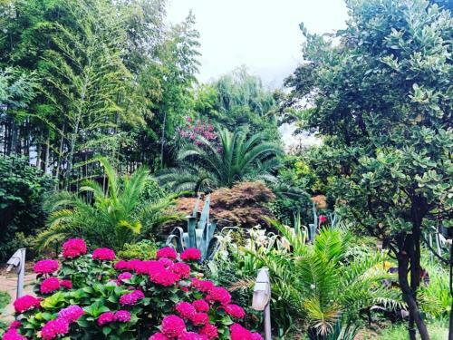 Posada Hotel Divino