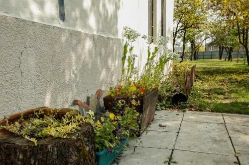Hostal Guest House Iaraji