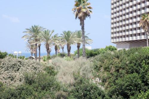 Liber Apartments
