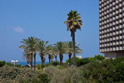 Liber Apartments