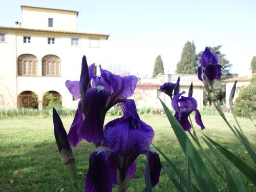 Bed & Breakfast Bella Di Ceciliano