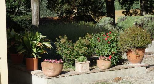 Bed & Breakfast Bella Di Ceciliano
