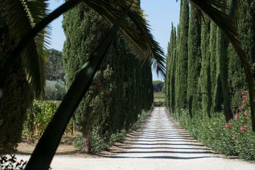 Agroturismo Agriturismo Tra Gli Ulivi