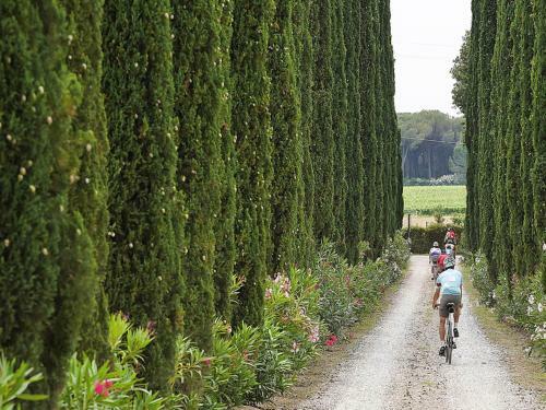 Agroturismo Agriturismo Tra Gli Ulivi