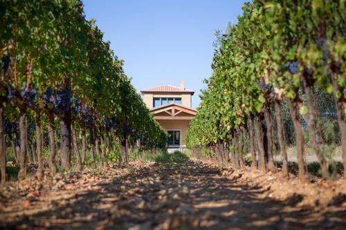 Agroturismo Agriturismo Tra Gli Ulivi