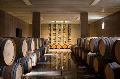 Agroturismo Agriturismo Tra Gli Ulivi