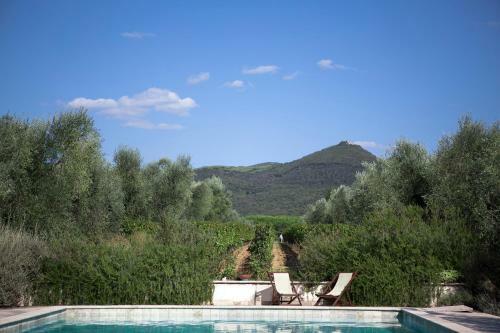 Agroturismo Agriturismo Tra Gli Ulivi