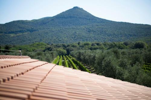 Agroturismo Agriturismo Tra Gli Ulivi