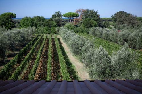 Agroturismo Agriturismo Tra Gli Ulivi