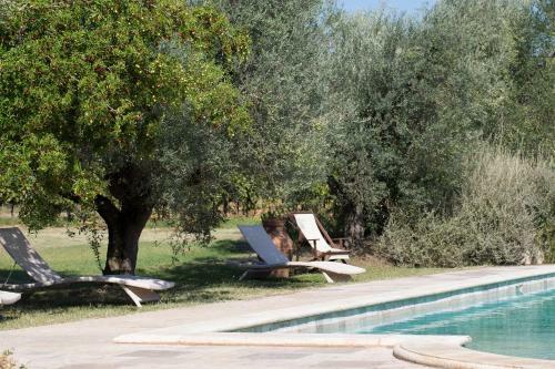 Agroturismo Agriturismo Tra Gli Ulivi