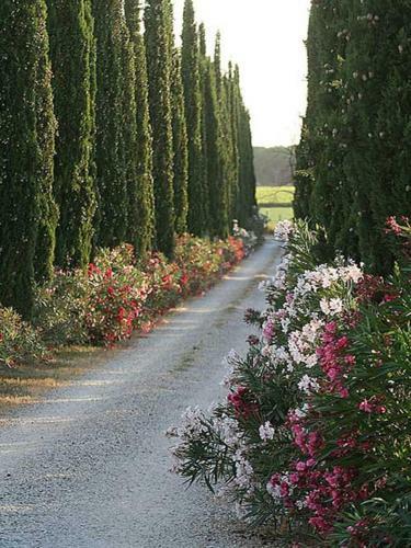 Agroturismo Agriturismo Tra Gli Ulivi