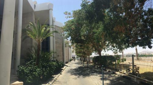 Apartamento Royal Park - Avi's Suites