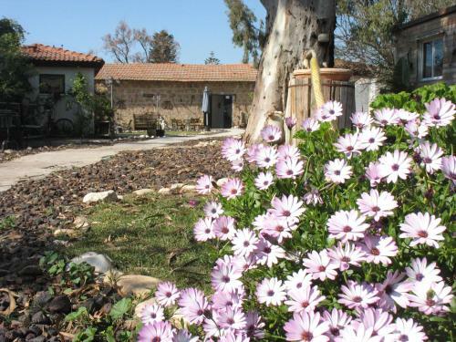 Bed & Breakfast Lemazkeret