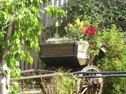 Bed & Breakfast Lemazkeret