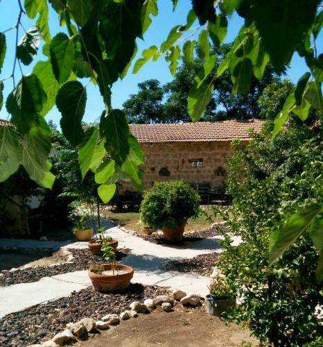 Bed & Breakfast Lemazkeret