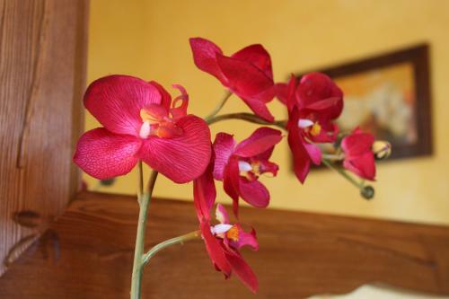 Bed & Breakfast Affittacamere Les Noyers
