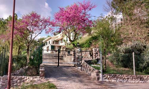 Villa Poggio Ulivo B&B Relais