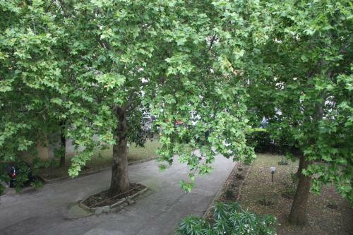 Hotel Garden