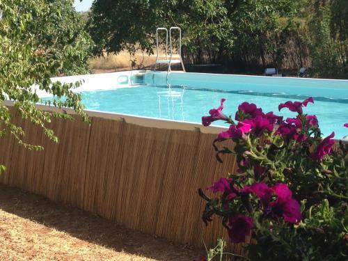 Apartamento La Locaia