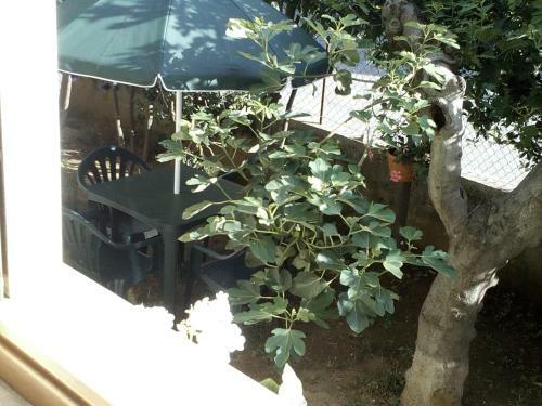 Apartamento B&B A Casa Di Nonna