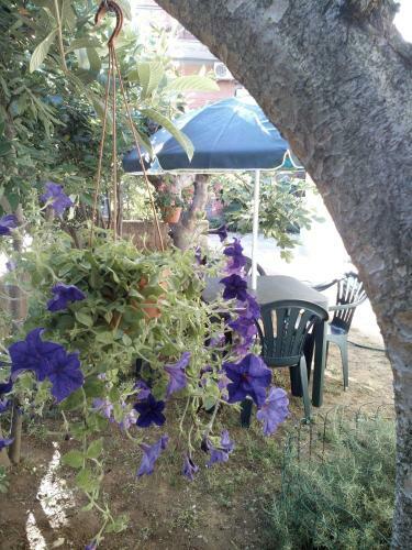 Apartamento B&B A Casa Di Nonna