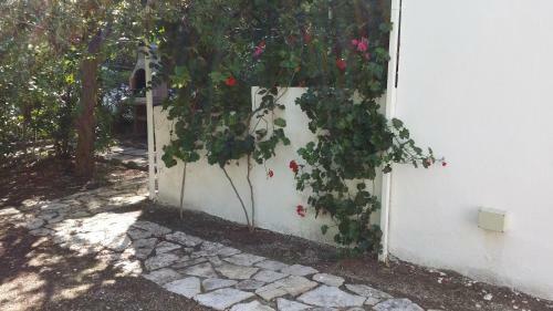 Residence Polidoro