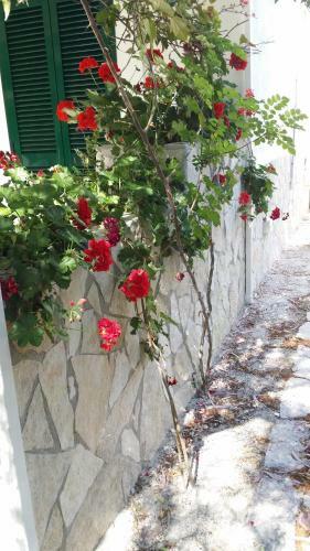 Residence Polidoro