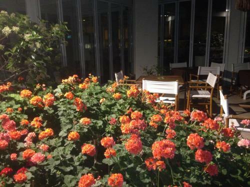 Hotel Seapark Spa Resort