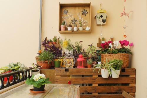 Buen Aire B&B Cagliari