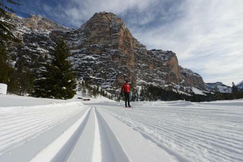 Alpine Hotel Gran Foda'