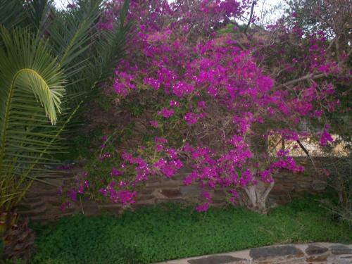 Bed & Breakfast La Dea Madre
