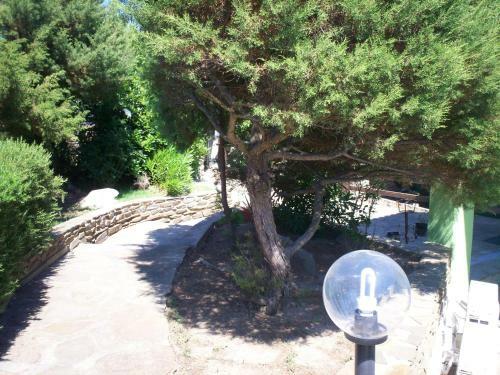 Bed & Breakfast La Dea Madre
