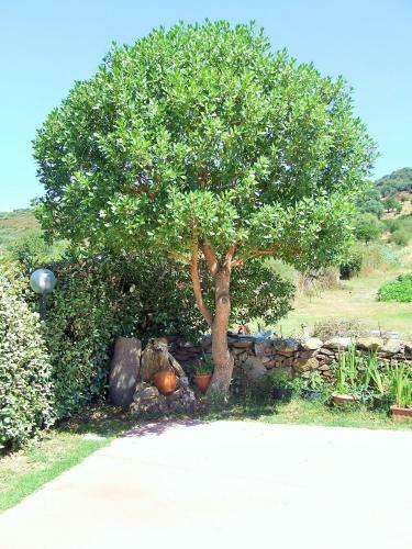 Apartamento Case Vacanze San Silvestro