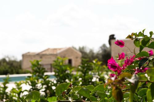 Agroturismo Tre Balate Resort