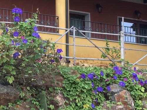 Hotel La Casa Sarda