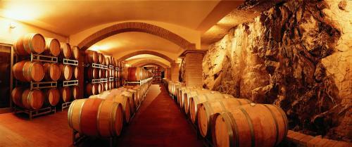 Agroturismo Capannelle Wine Resort