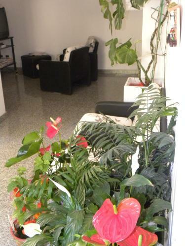 Hotel Pensione Andrea