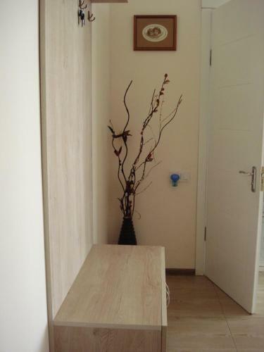 Apartamento Magnolia