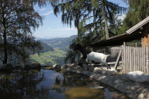Apartamento Gspoi-hof