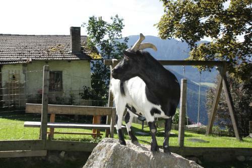 Apartamento Gspoi-hof