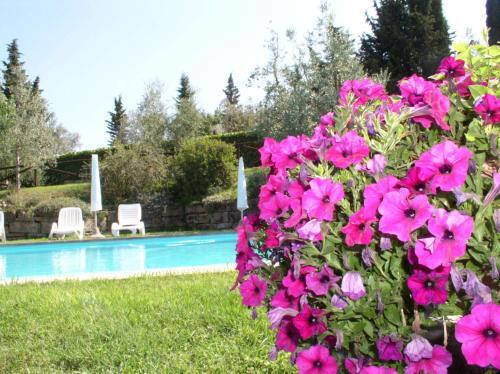 Agroturismo Terre Di Melazzano