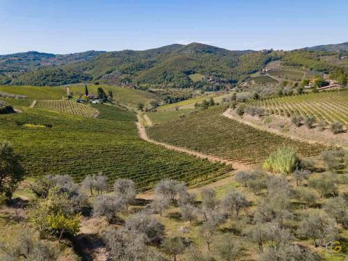 Agroturismo Terre Di Melazzano