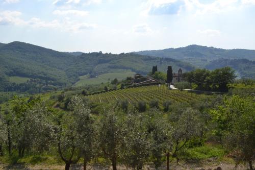 Agroturismo Terre Di Melazzano