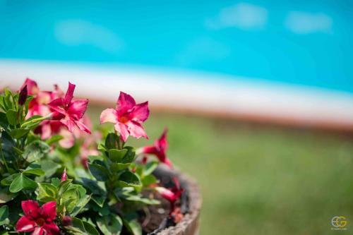 Agroturismo Terre Di Melazzano