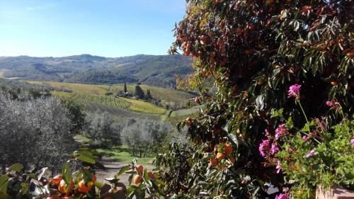Agroturismo Terre Di Melazzano