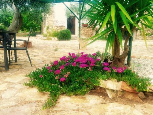 Casa Vacanze Ulivetum
